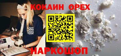 Альфа ПВП Новозыбков