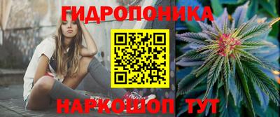 Альфа ПВП Новозыбков