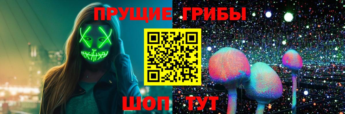 Псилоцибиновые грибы Psilocybe  Вход с VPN  Стрежевой 